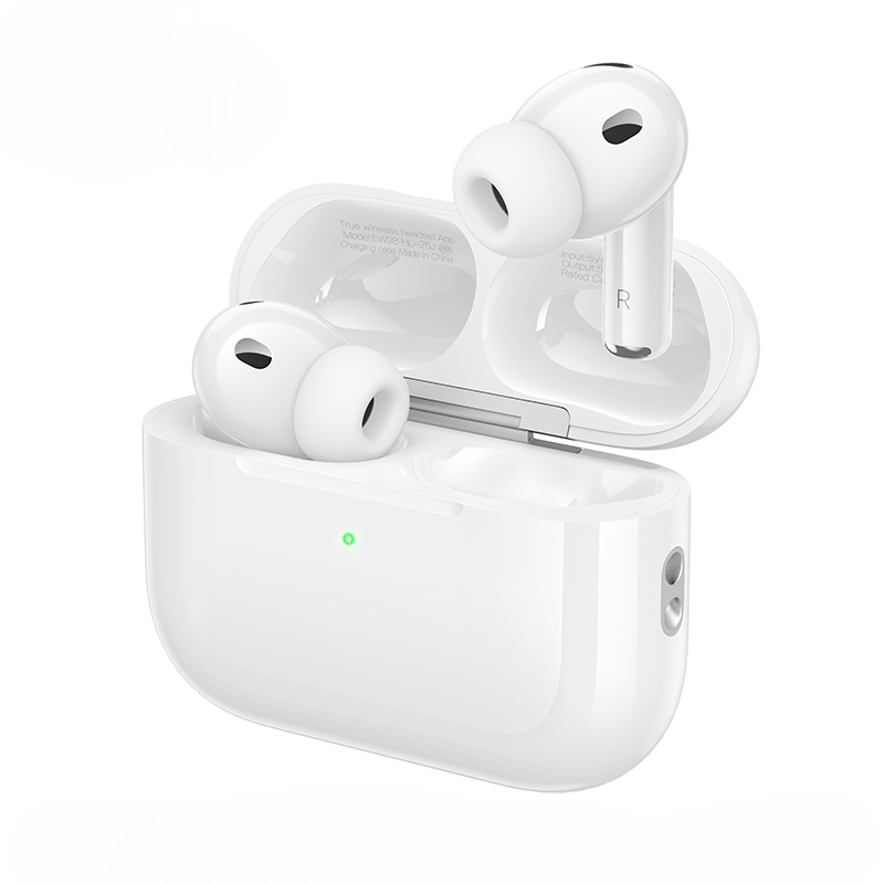 HOCO EW98 Bluetooth 6.0 13mm Driver TWS Earbuds Price Pakistan